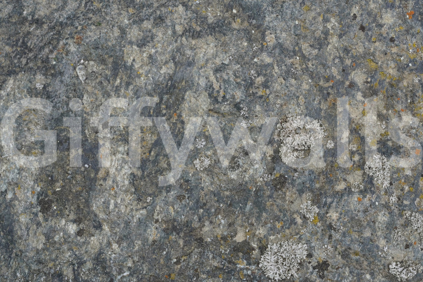 A high-quality minimalist wall mural for walls.