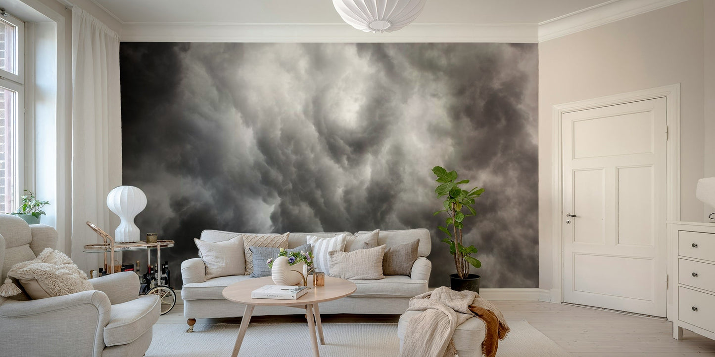 Dramatic monochrome cloud formation towers overhead in this wall mural GD4902

