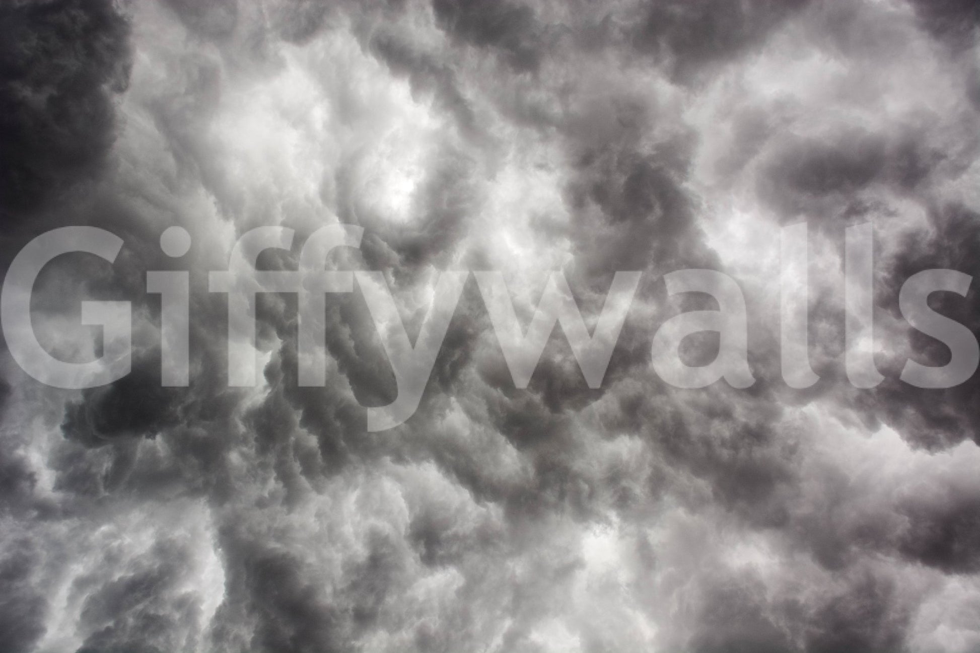 Wild sky drama plays out in silver, black, and white on this wall mural GD4902
