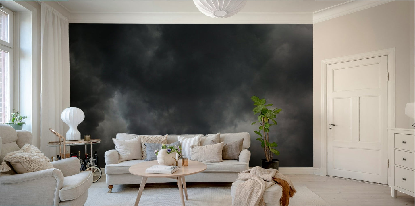 Deep shadow and mist blend into the Storm #2 wall mural backdrop GD4901
