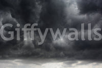 Rolling cumulus shapes crowd the frame in the Storm #2 wall mural GD4901
