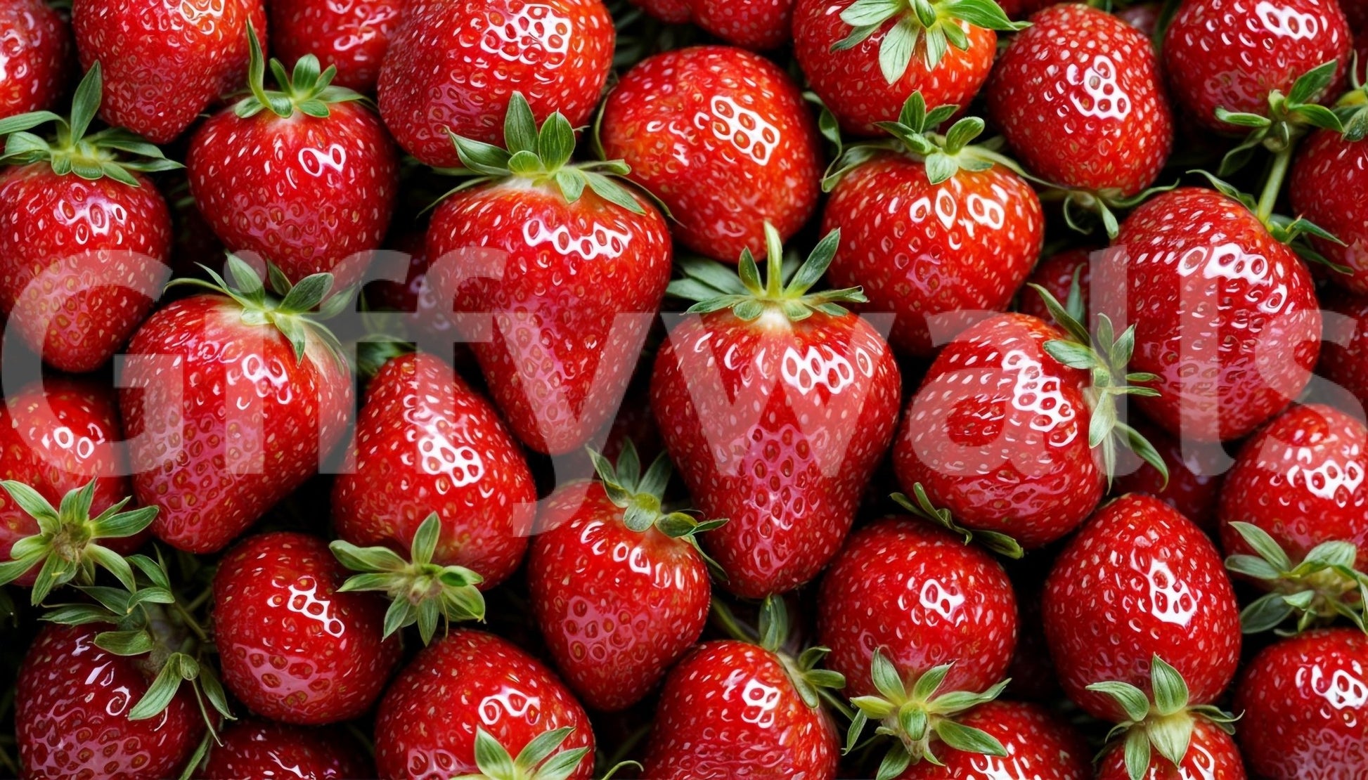 The scene feels full of life and positive energy.