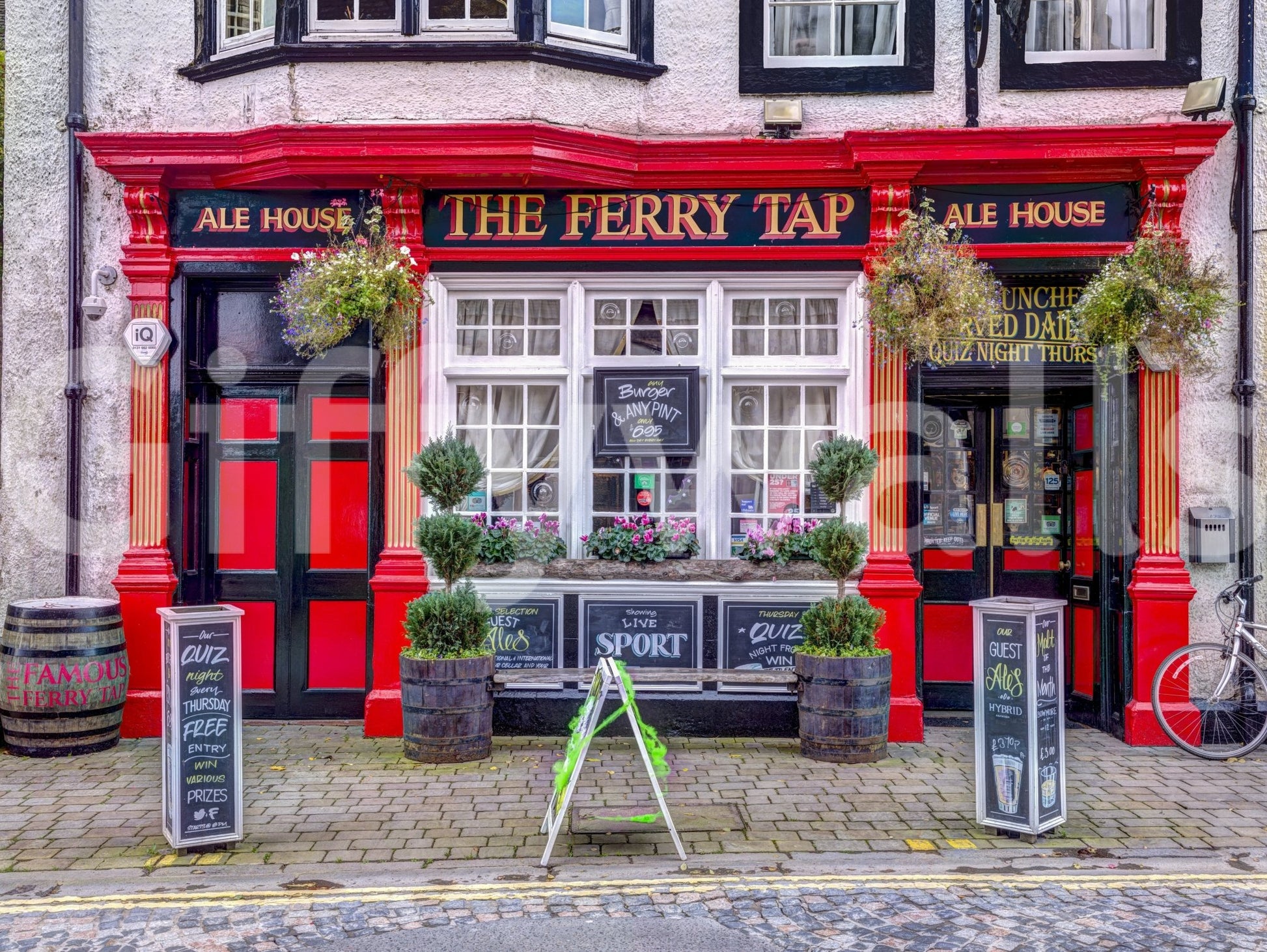Potted plants and vintage window scene
