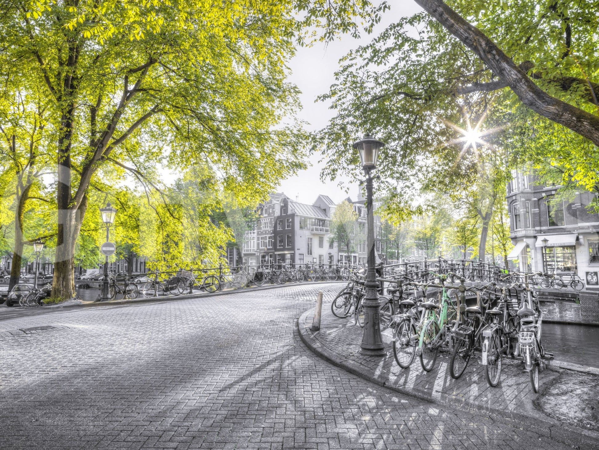 The light creates a strong contrast in the image.

