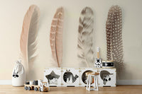 Inspiring appreciation for nature's wonders.

