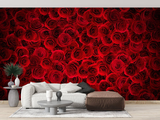Red Rose Wall Mural B192
