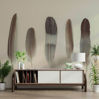 The image shows five feathers in various shades of gray and brown.

