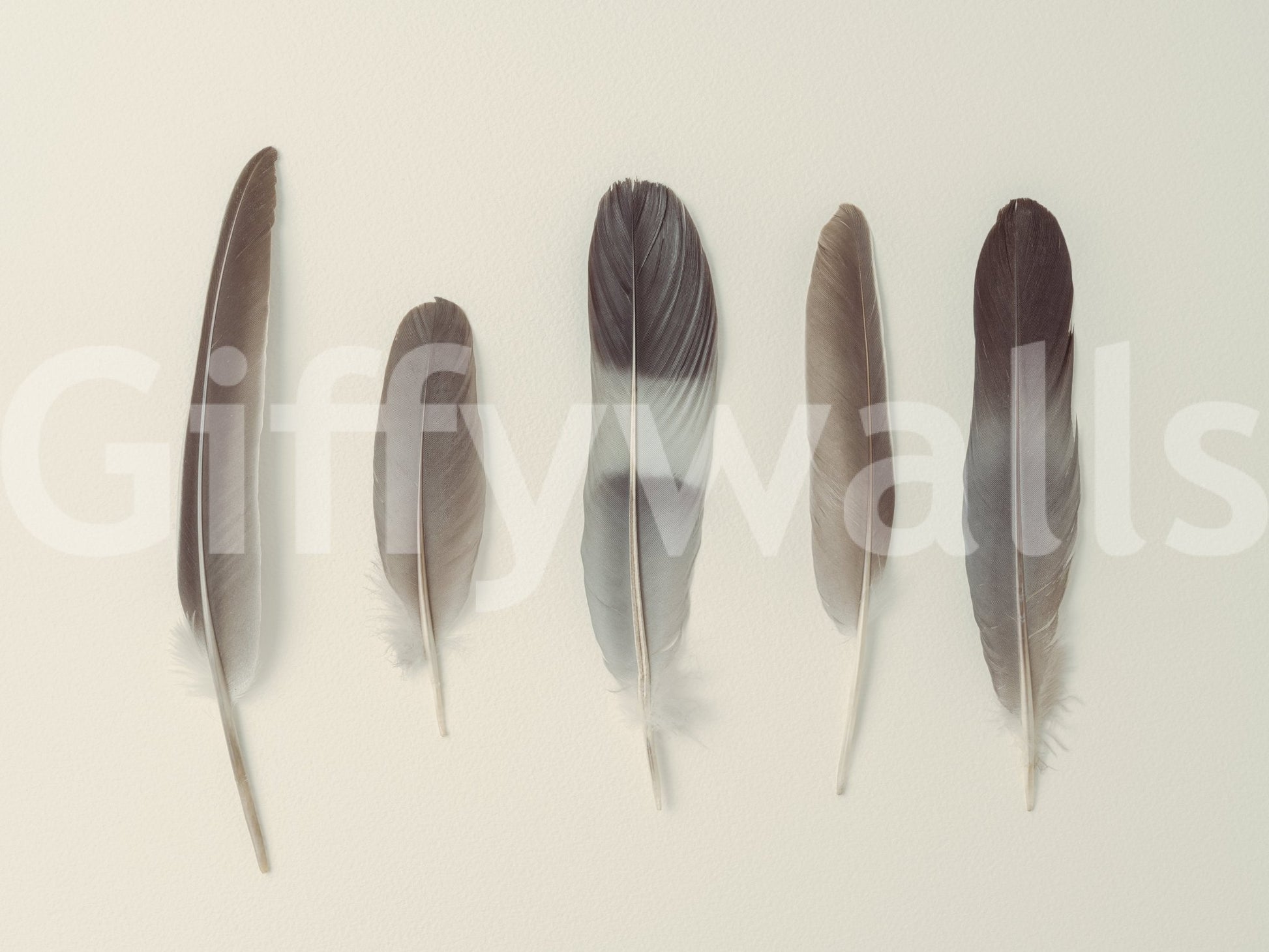 Ideal for adding a touch of natural elegance to interiors.

