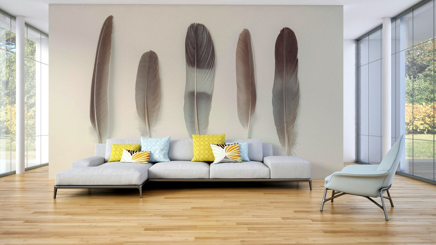 The feathers are arranged in a line against a creamy white background.

