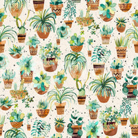 Succulent Home Pots Plants Wallpaper⁠