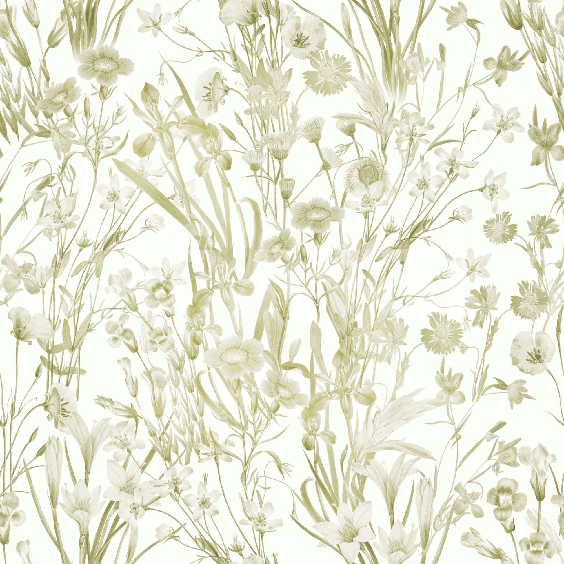 High-quality image of the summer meadow wallpaper

