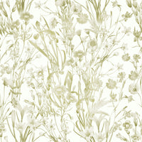 High-quality image of the summer meadow wallpaper

