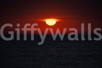 A modern artistic wall mural for home wallpaper.

