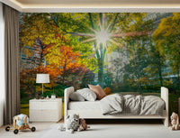 Forest nature wallpaper with golden sunlight for a bedroom wall.