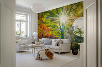 Green woodland wallpaper featuring morning light for a feature wall.