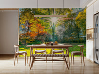 Sun Rays Through Trees wall mural in a bright living room area.