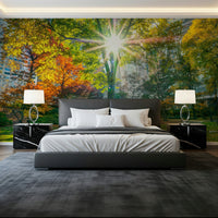 Atmospheric tree wallpaper with light rays in a home office.