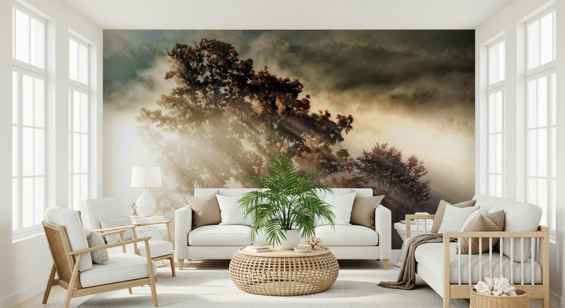 Sunbeam mural showing light rays piercing a foggy forest canopy.