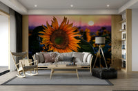 It gives a feeling of sunny comfort and inviting beauty.
