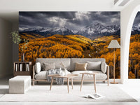 Hallway design using Sunlit Aspen Valley wall mural autumn valley scene, GD9247