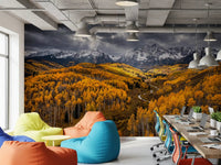 Office room setup with Sunlit Aspen Valley wall mural scenic nature, GD9247