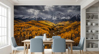 Sunlit Aspen Valley wall mural with layered forest and sky light, GD9247