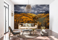 Sunlit Aspen Valley wall mural featuring winding valley and trees, GD9247