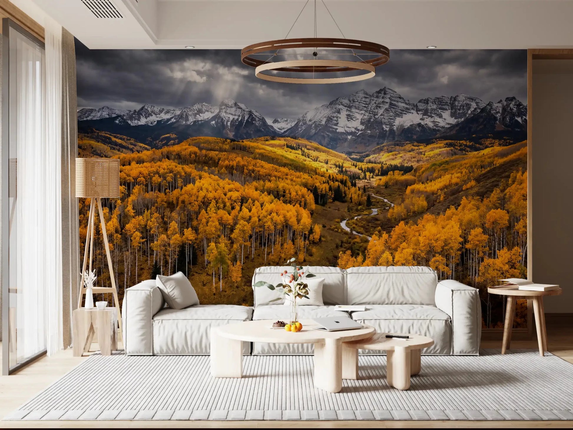 Aspen forest wall mural with Sunlit Aspen Valley bright autumn colors, GD9247