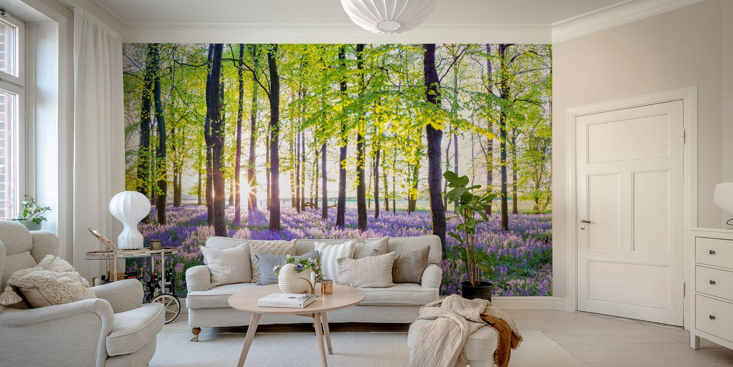 Bluebell carpet in sunlit woods wallpaper

