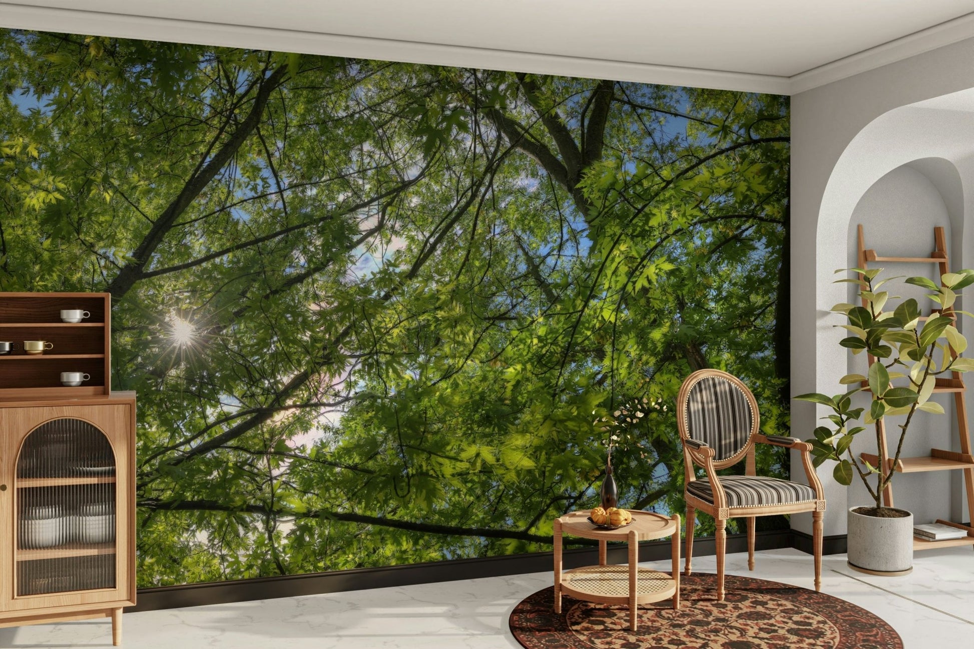 Lush tree canopy from below.

