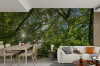 Wall decor evoking tranquility and warmth.

