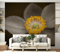 Sunlit Floral Essence, elegant flower wallpaper for walls design., GD7114