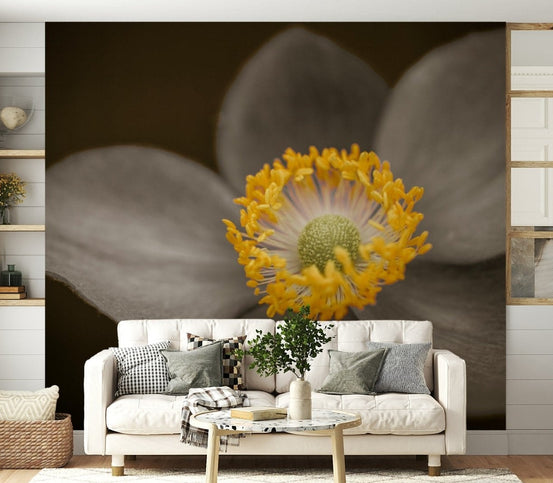 Sunlit Floral Essence, elegant flower wallpaper for walls design., GD7114