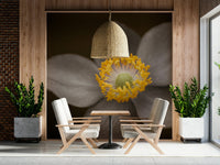 Sunlit Floral Essence designer wall paper, muted petals, vivid pollen., GD7114