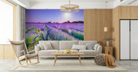 Sunlit Lavender Escape Wall Mural in a bright living room with white sofa wallpaper.