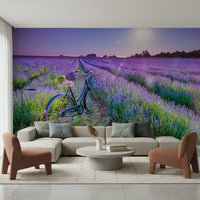 Vibrant violet flower scene wall mural for a relaxing lounge atmosphere.