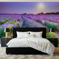 Sunlit Lavender Escape Wall Mural for a professional reception area wallpaper.
