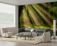 Trees and sunlight wallpaper mural for a contemporary dining area