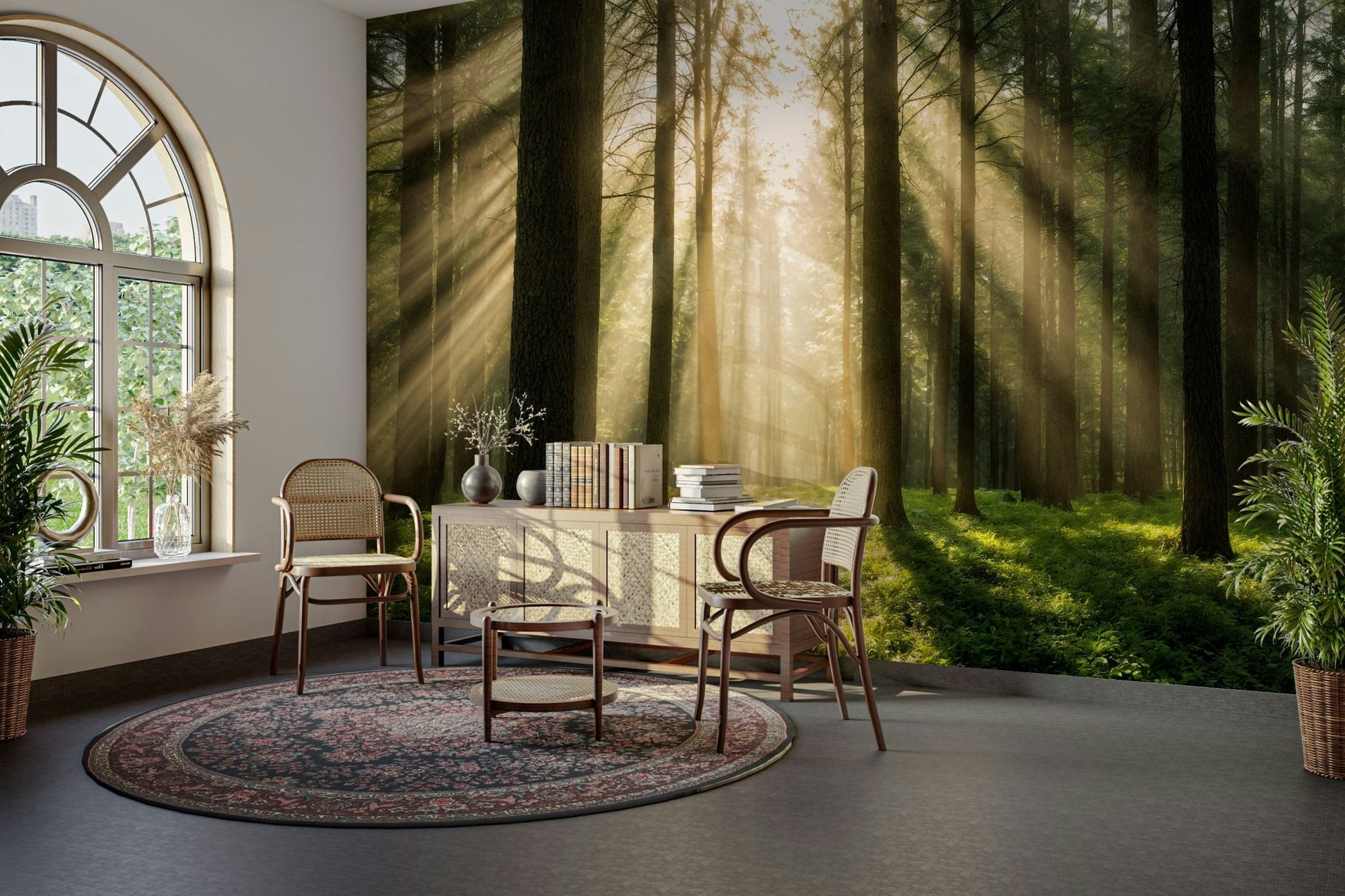 Ferns and moss grow on the peaceful forest floor.

