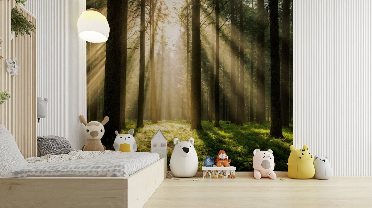 Golden sunlight filters through a thick canopy of tall trees.

