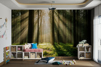 A soft, hazy glow appears in the distance.

