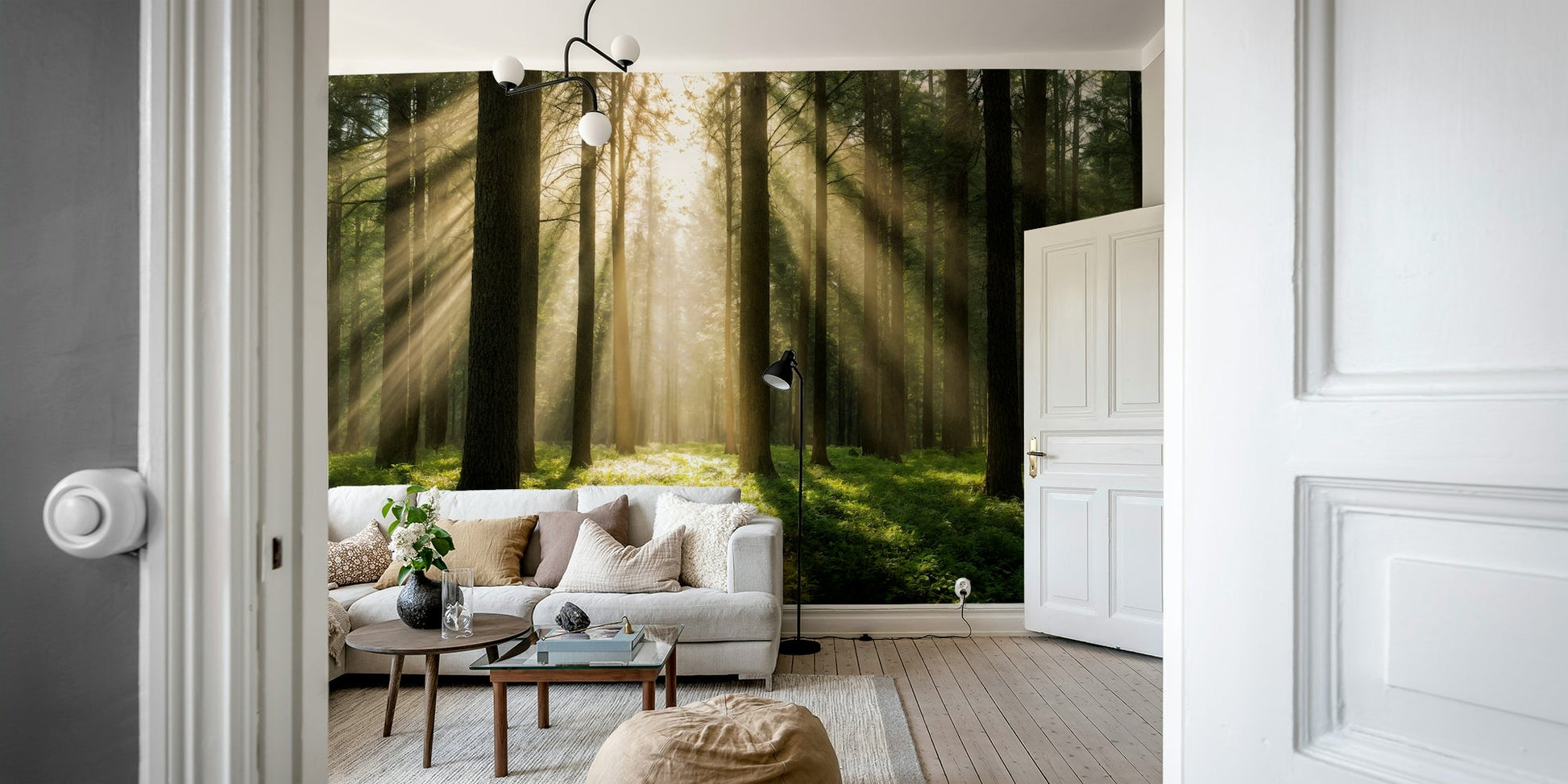 Shadows from the trees stretching across the ground.

