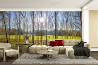 The light creates a beautiful, glowing effect.

