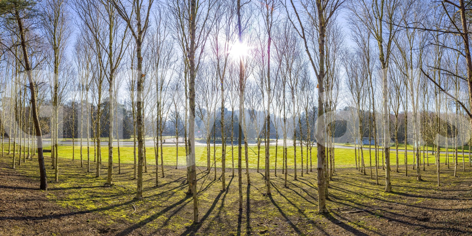 The composition is dynamic and full of depth.

