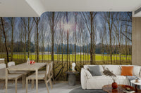 The ground is covered with grass and leaves.

