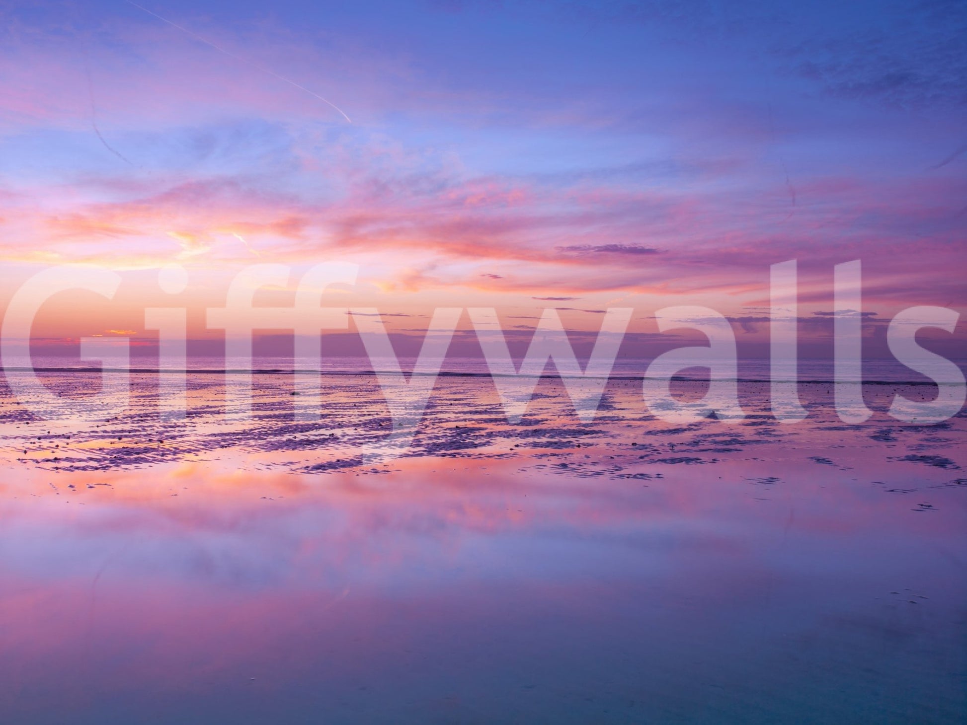 Soft dawn hues glow in Sunrise at Beach Wall Mural above quiet rippled waterline, GD8626