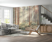 Woodland sunrise wallpaper with light beams and calm neutral palette