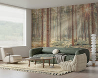 Foggy woodland scene wall mural with pale greens and morning glow