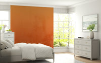 Sunset desert wall mural, striking orange wallpaper design.