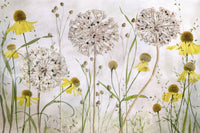 A high-quality serene flower wall mural for walls.